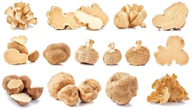 Italian white truffles displayed on a white background