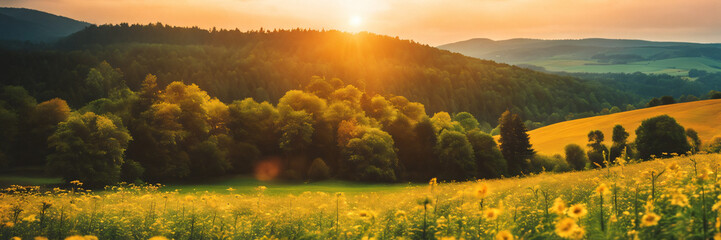 Panoramic banner with rapeseed yellow flower field in mountains