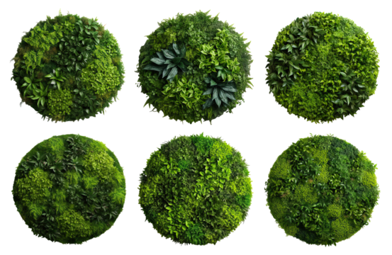 Set of round green garden wall panels from tropical plants, cut out