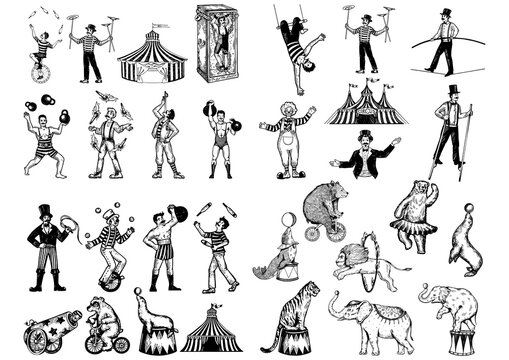 Retro circus performance set sketch style PNG illustration. Old hand drawn engraving imitation. Human and animals vintage drawings