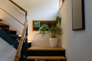 住宅の階段の踊り場、観葉植物、採光計画