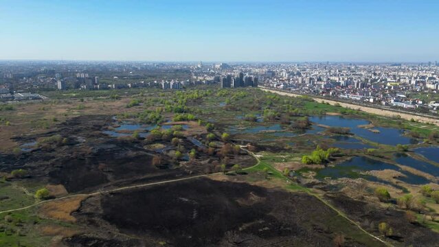 High angle drone shot of Vacaresti Nature Park in Bucharest. Natural reserve in the middle of the capital city of Romania. Swamp, bird's nests and paths for hiking and nature exploration.
