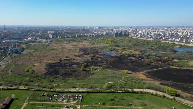 High angle drone shot of Vacaresti Nature Park in Bucharest. Natural reserve in the middle of the capital city of Romania. Swamp, bird's nests and paths for hiking and nature exploration.
