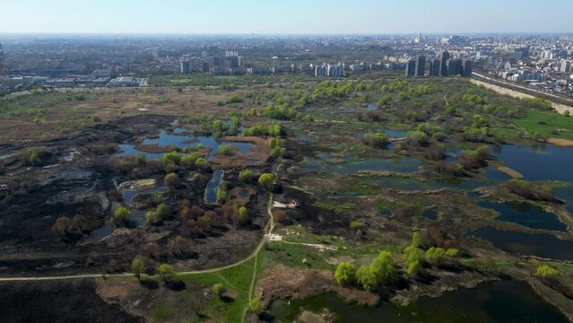High angle drone shot of Vacaresti Nature Park in Bucharest. Natural reserve in the middle of the capital city of Romania. Swamp, bird's nests and paths for hiking and nature exploration.

