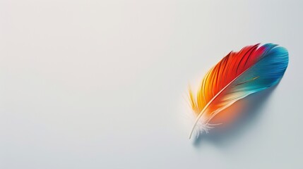 A minimalist background with a single, colorful bird feather against a clean white background, representing the beauty and diversity of wildlife.