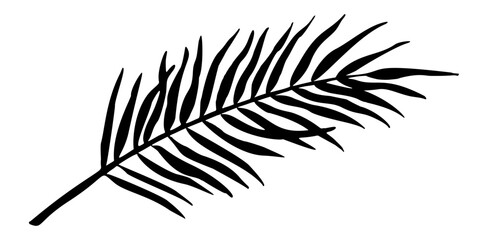 Palm Leaf vector illustration. Silhouette of branch. Jungle tropical tree in linear style on isolated background. Engraved sketch of rainforest foliage for icon or logo. Botanical painting of plant.