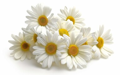 AI generated illustration of a white daisy bouquet with yellow centers on a white background