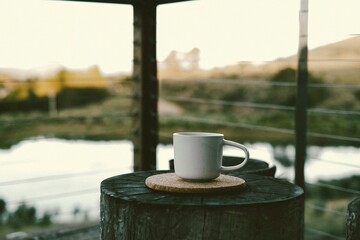 Cup placed on a wooden log against a serene lake