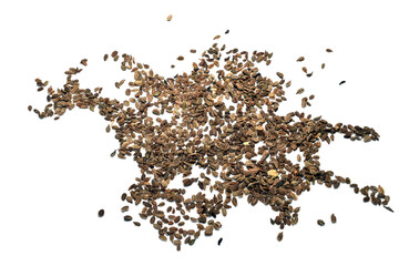 Dry carrot seeds on a white background.