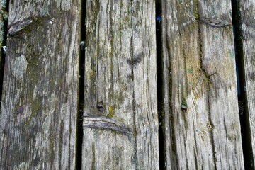 Close-up of weathered wood textures