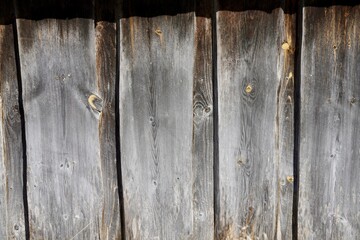 Close-up of weathered wood textures