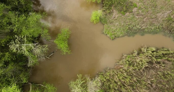Tranquil shot of Wolf River slough in the Clark Conservation Natural Area. 