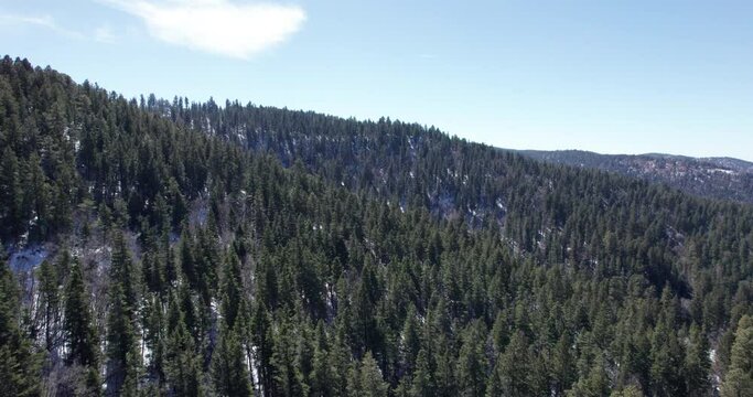 Aerial push in on a pine tree covered mountainside in New Mexico