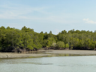 Ao Talet at noon with mangrove forest background