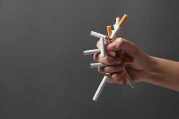 Stop smoking. Woman holding broken cigarettes on grey background, closeup. Space for text