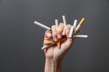 Stop smoking. Woman holding broken cigarettes on grey background, closeup