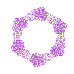 wisteria flower vector illustration