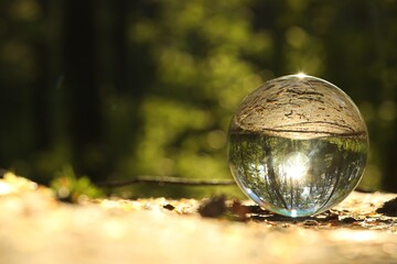 Beautiful forest with green trees, overturned reflection. Crystal ball on ground outdoors. Space for text