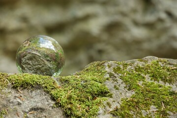 Beautiful forest, overturned reflection. Crystal ball on stone surface with moss outdoors
