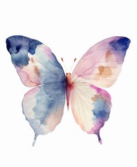 watercolor butterfly, pink and light blue pastel colors, white background