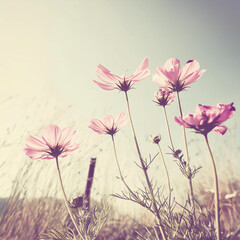 Obraz premium Simple Country Flowers