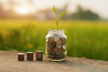 Saving money by hand puting coins in jug glass on nature background