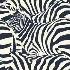 seamless pattern with zebra. abstract animal print
