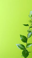 green leafy branches decoration