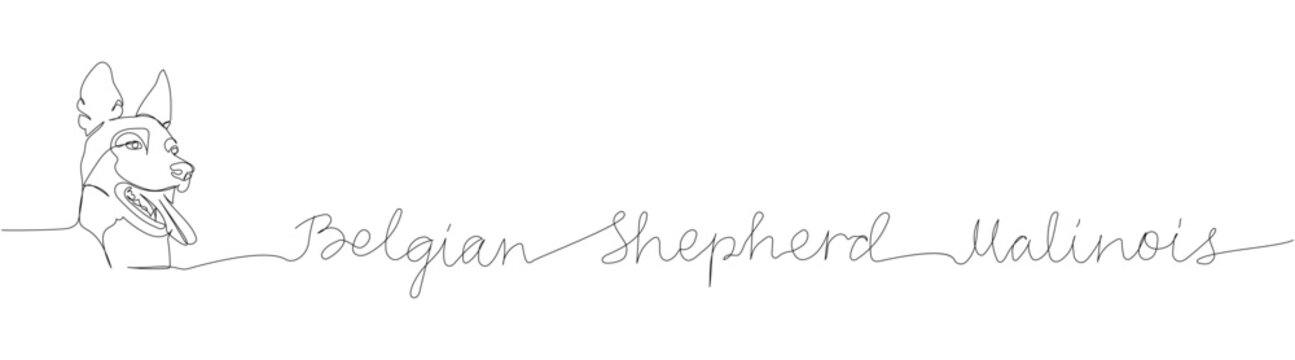 Belgian Shepherd, Malinois, dog breed, shepherd dog, service dog one line art. Continuous line drawing of friend, doggy, care, pet, animal, family, canine with inscription, lettering, handwritten.