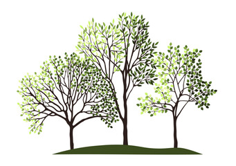 Tree silhouettes for the landscape design. Entourage design. Vector illustration.