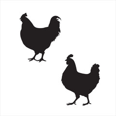 hen chicken silhouette set,hen silhouettes,silhouettes of hen chicken. vector Illustration