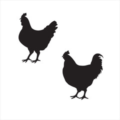 hen chicken silhouette set,hen silhouettes,silhouettes of hen chicken. vector Illustration