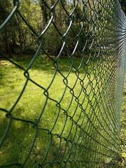 green lawn behind a net on a bright sunny day