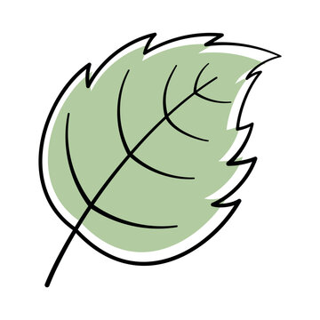 Leaf Hand Drawn Offset Pastel Green