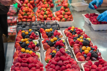 August 10, 2024-Vancouver, BC, Canada-Close up of boxes of colorful fresh organic berries on...