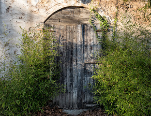 old closed portal with plants