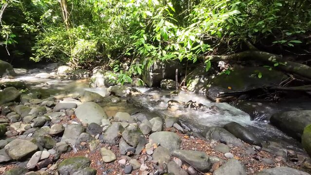 Gentle tracking shot through a picturesque river with majestic waterfall and large stones 4K resolution