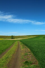A dirt road through a field