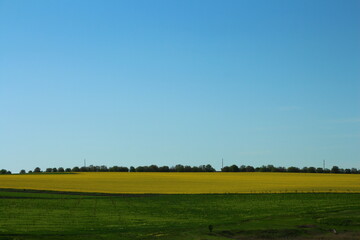 A field with a rainbow