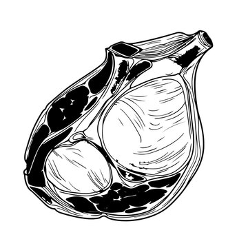 recommend clip art: Smoked ham isolated, delicious sliced ham illustration