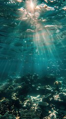 underwater view of a coral reef with sunlight filtering through the waters surface, vertical