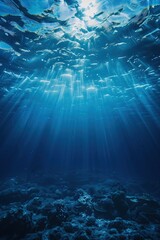 underwater scene with sunlight filtering through the oceans surface illuminating the water