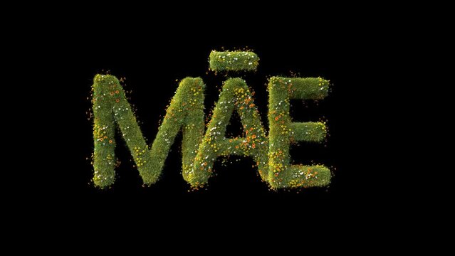 DIA DAS M&Atilde;ES LETRAS 3D ANIMADO FUNDO TRANSPARENTE SEM FUNDO ROSAS PLANTAS FLORES JARDIM LOOP INTRODU&Ccedil;&Atilde;O T&Iacute;TULO 