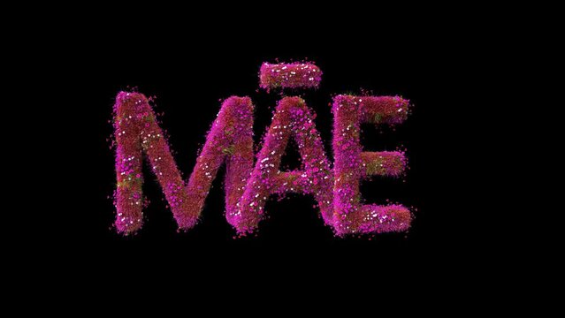 DIA DAS M&Atilde;ES LETRAS 3D ANIMADO FUNDO TRANSPARENTE SEM FUNDO ROSAS PLANTAS FLORES JARDIM LOOP INTRODU&Ccedil;&Atilde;O T&Iacute;TULO 