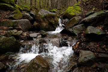 A waterfall flowing in the forest in spring