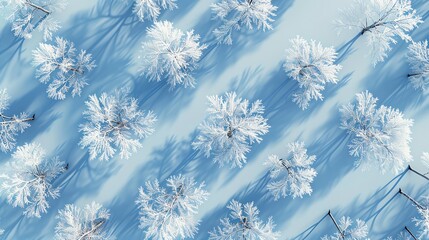 Winter trees with snow, seamless pattern, icy blue background, perfect for a seasonal outdoor magazine cover, aerial perspective