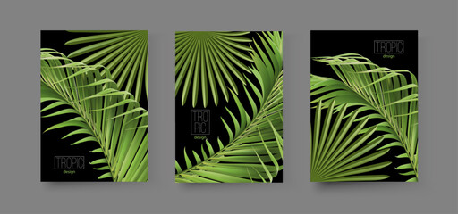 Vector tropical banners set. Palm leaf with text on black background. Exotic botany for cosmetics, spa, perfumery, health products, fragrance, travel agency, summer party invitation