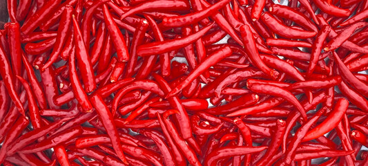 Red chilli for spicy cooking, background