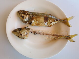 Mackerel placed in a white plate One hasn't eaten yet. The other one ate the whole thing until only...