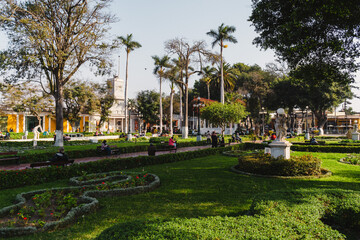fountain in the park